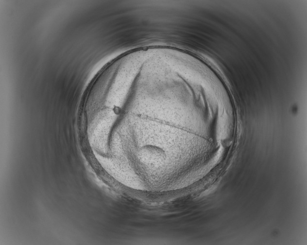 X0000116101149200912140951