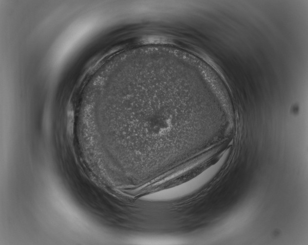 X0000116101151200912140951