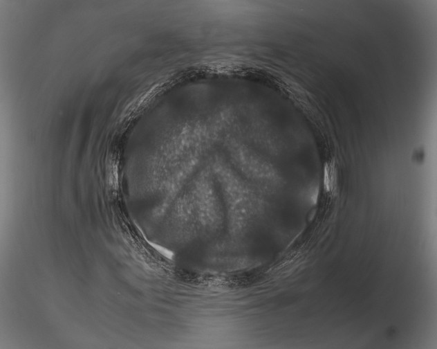 X0000116101155200912140950