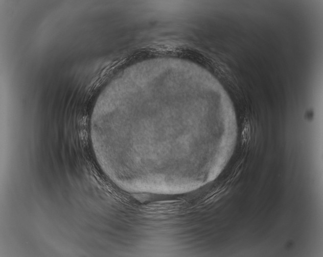 X0000116101156200912140950