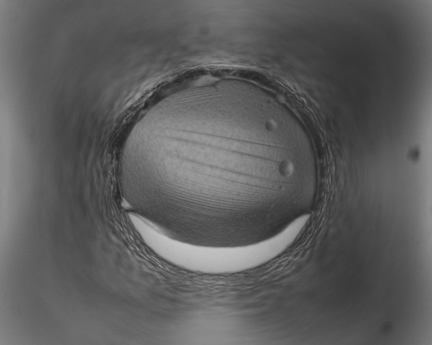 X0000116101157200912140950