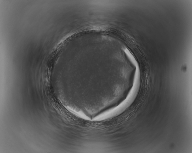 X0000116101158200912140950