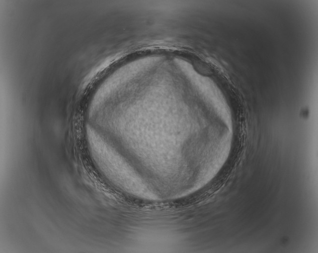 X0000116101159200912140950