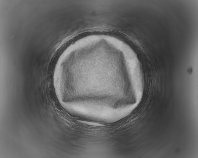 X0000116101160200912140950