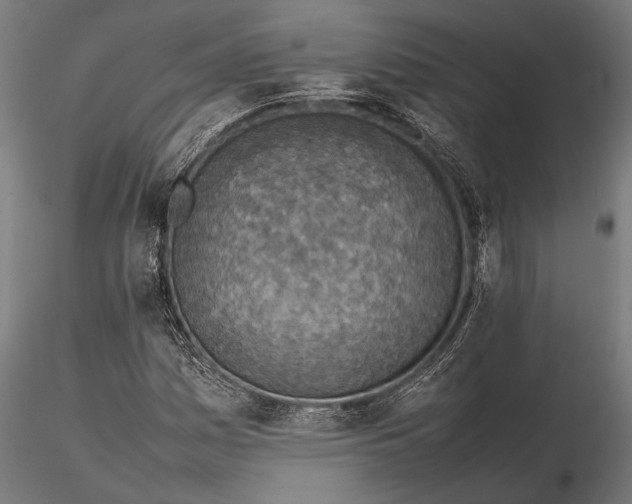 X0000116101161200912140950