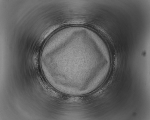 X0000116101162200912140950