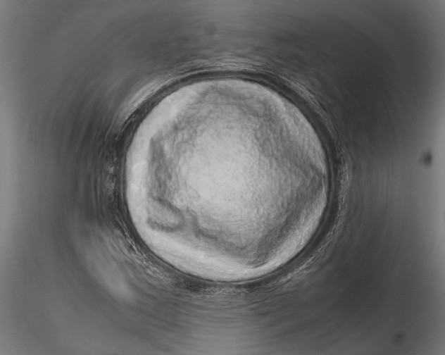 X0000116101163200912140950