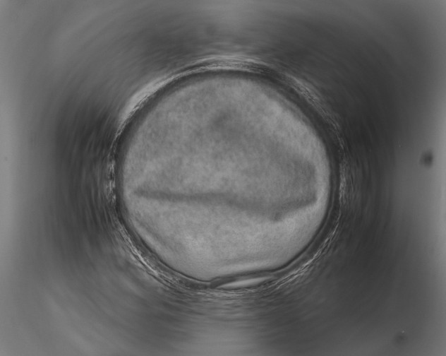 X0000116101164200912140950