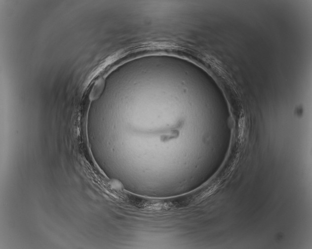 X0000116101165200912140950