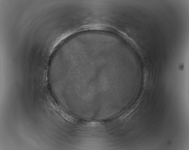 X0000116101166200912140950