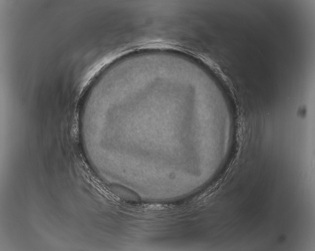 X0000116101167200912140950