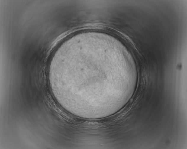 X0000116101168200912140950