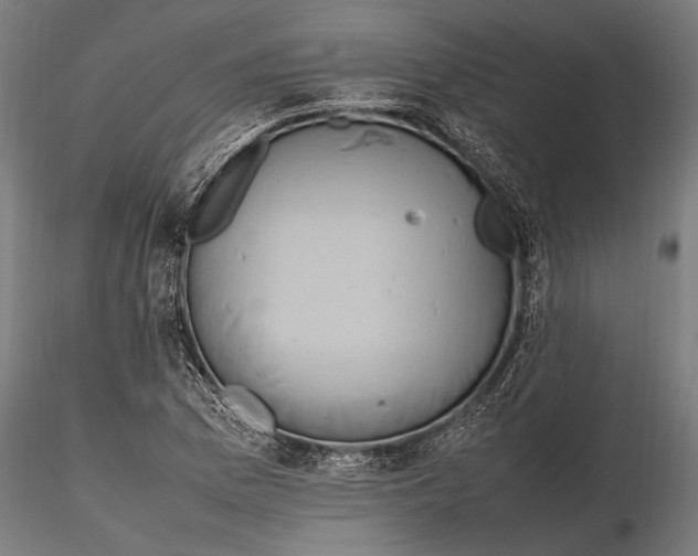 X0000116101169200912140950