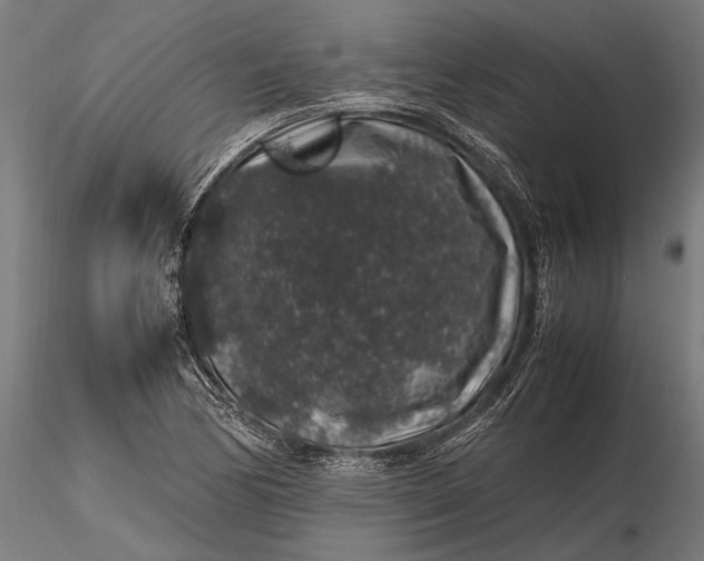 X0000116101170200912140950