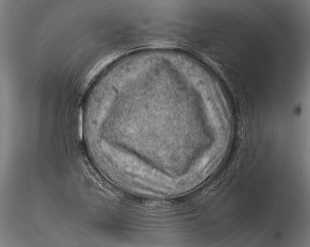 X0000116101171200912140950