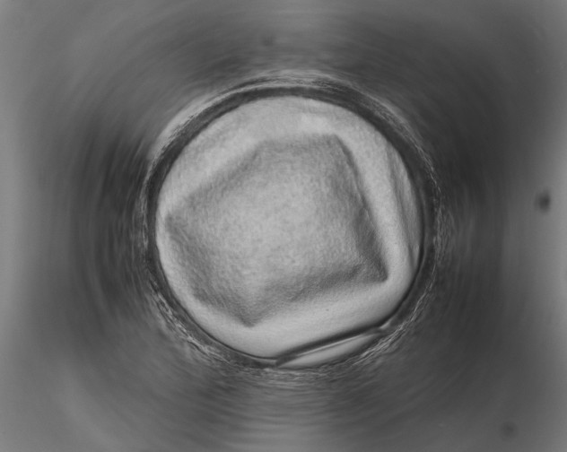 X0000116101172200912140950