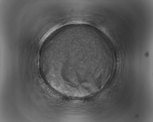 X0000116101173200912140950