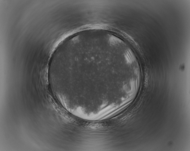 X0000116101174200912140950