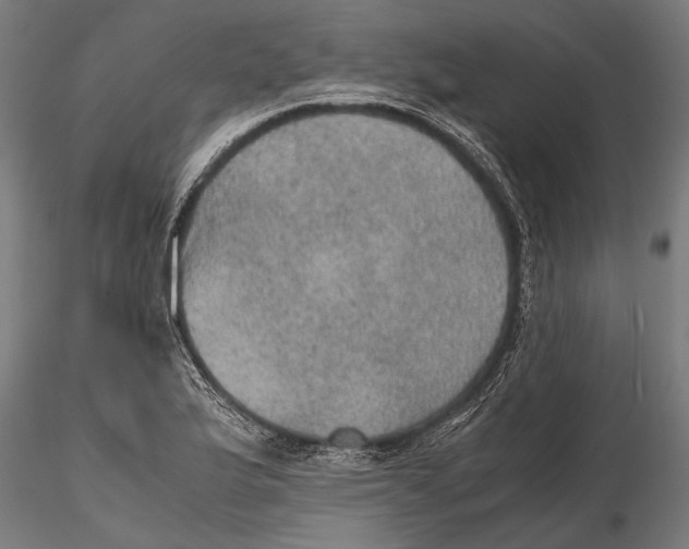 X0000116101175200912140950