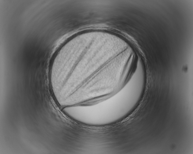 X0000116101176200912140950