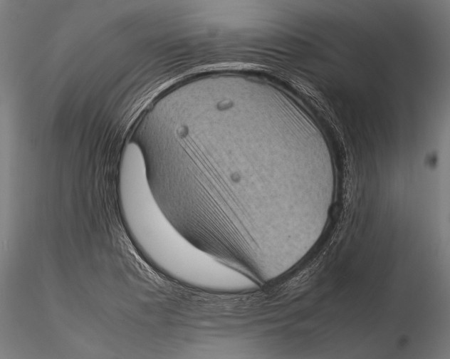 X0000116101177200912140950