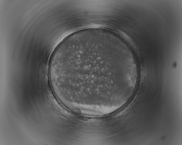 X0000116101178200912140950