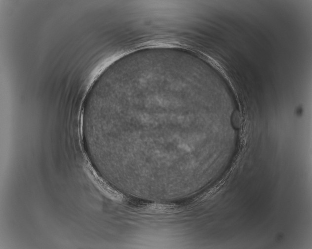 X0000116101179200912140950