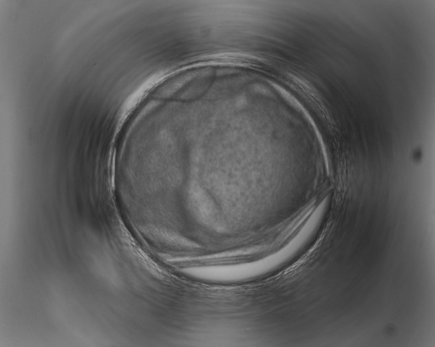 X0000116101180200912140950