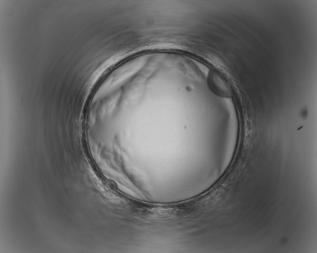 X0000116101181200912140950