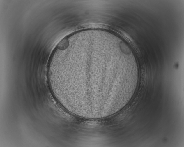 X0000116101182200912140950