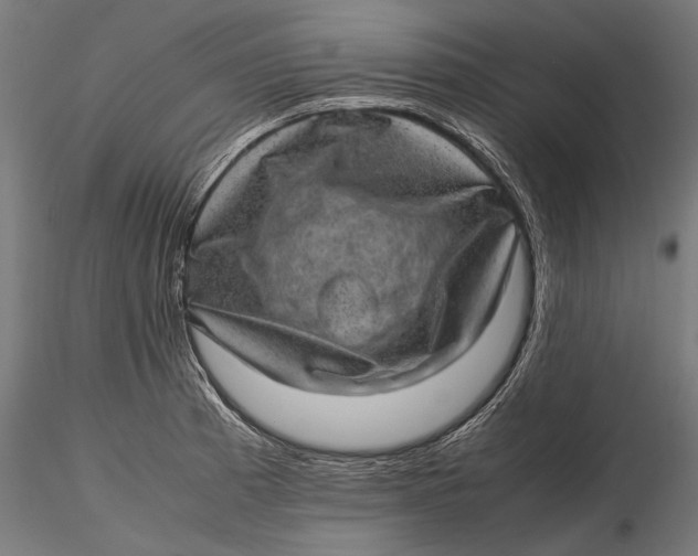 X0000116101185200912140950