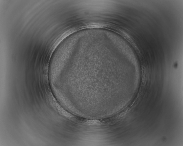 X0000116101186200912140950