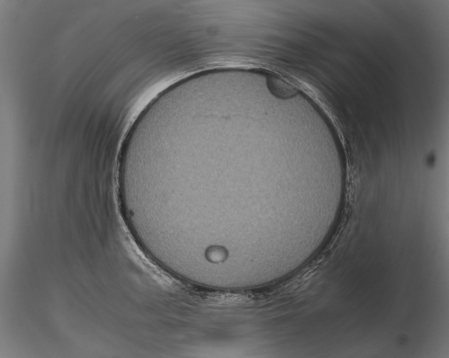 X0000116101187200912140950