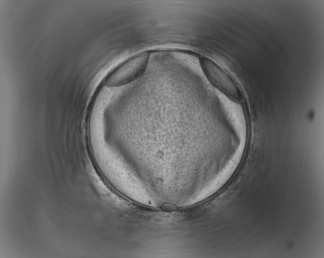 X0000116101189200912140949