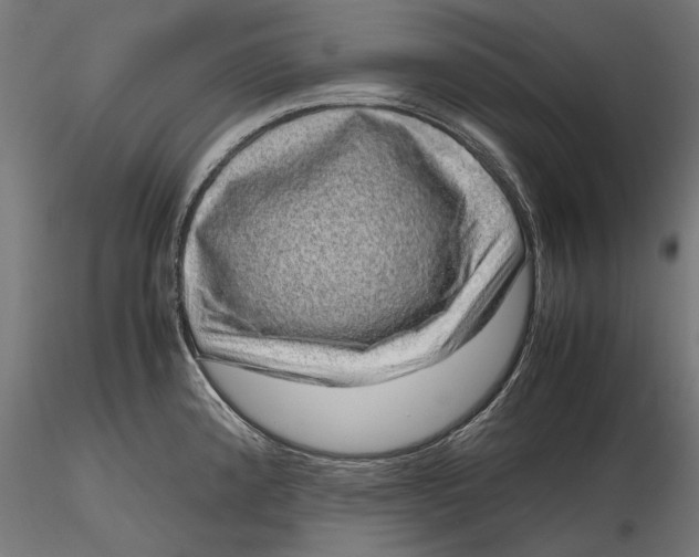 X0000116101192200912140949