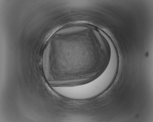 X0000116101193200912140949