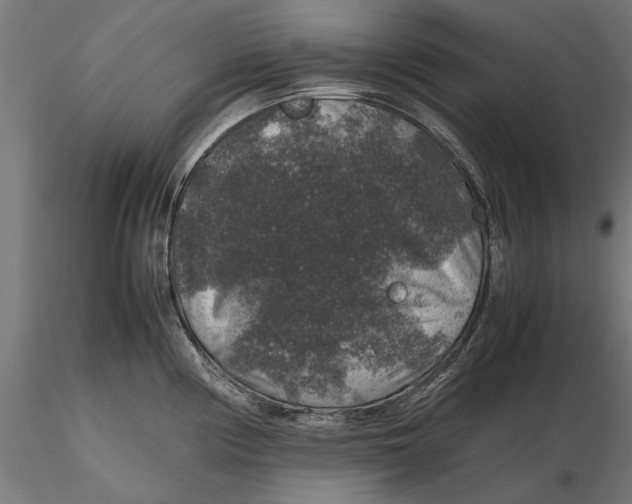 X0000116101194200912140949