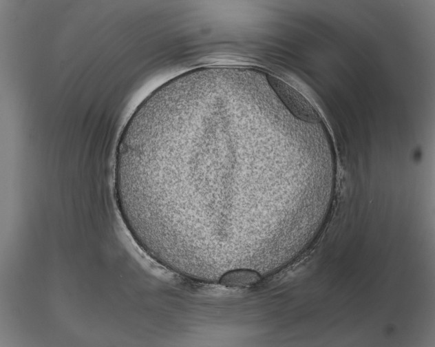 X0000116101195200912140949