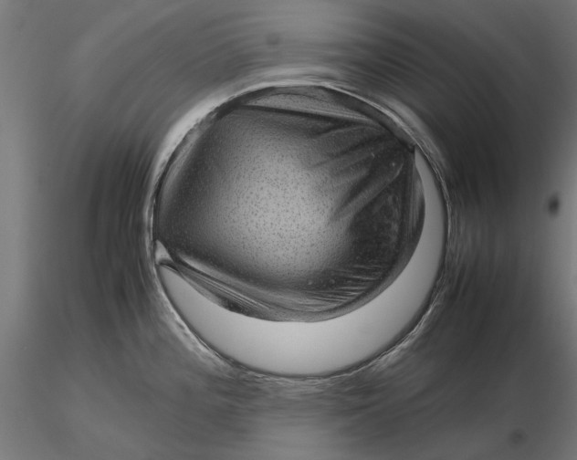 X0000116101196200912140949