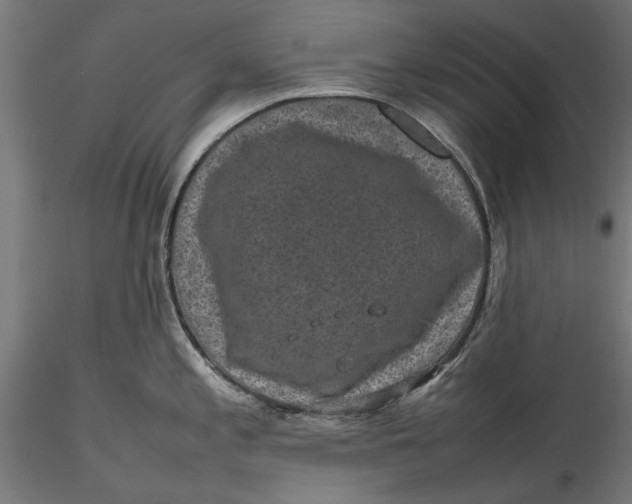 X0000116101197200912140949