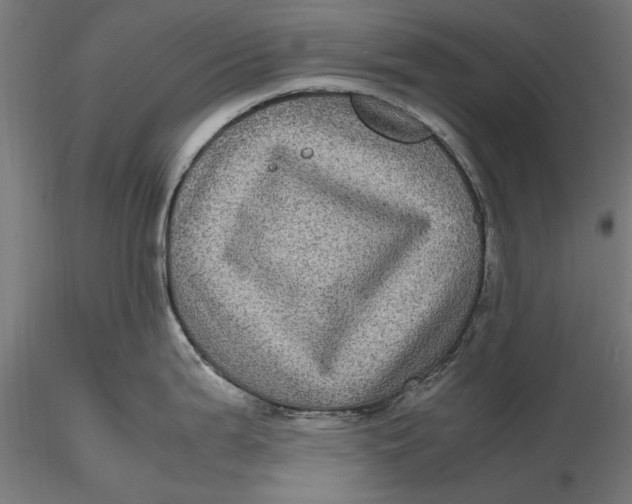 X0000116101199200912140949