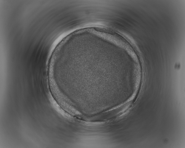 X0000116101200200912140949