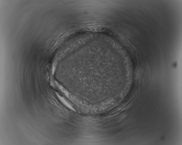 X0000116101202200912140949