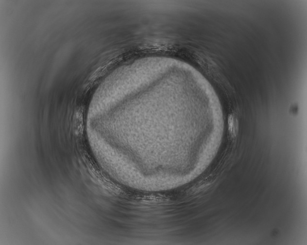 X0000116101203200912140949