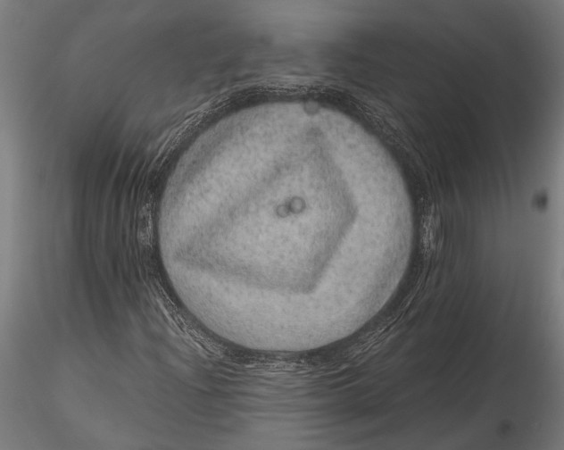 X0000116101204200912140949