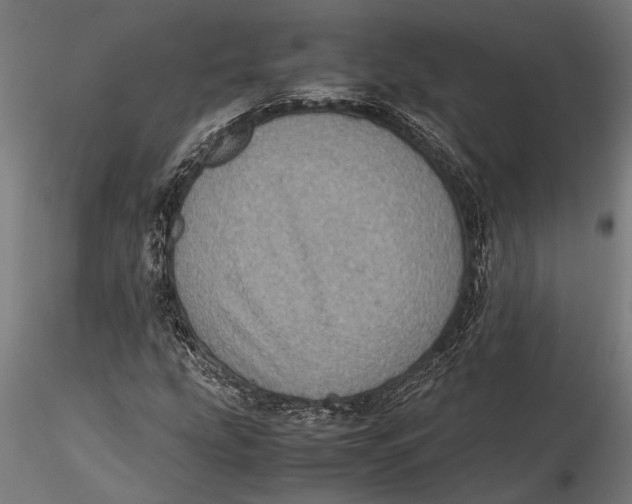 X0000116101207200912140949