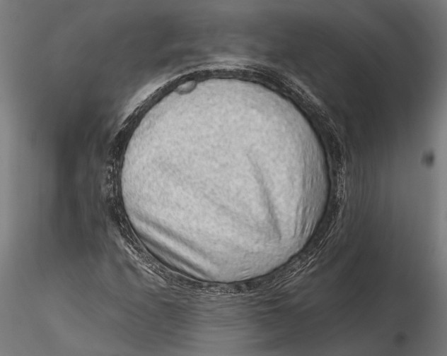 X0000116101208200912140949