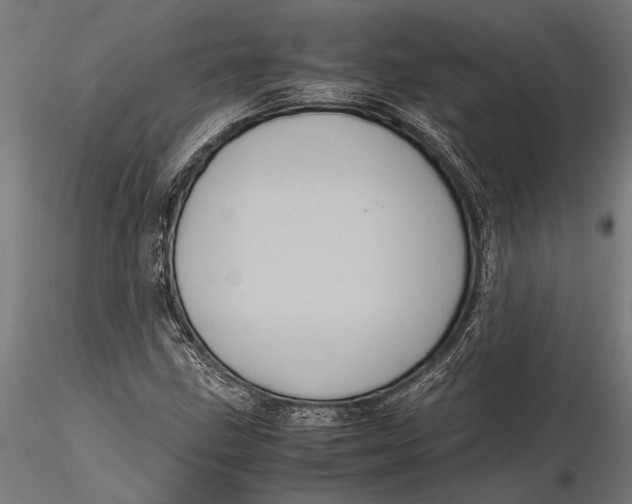 X0000116101211200912140949