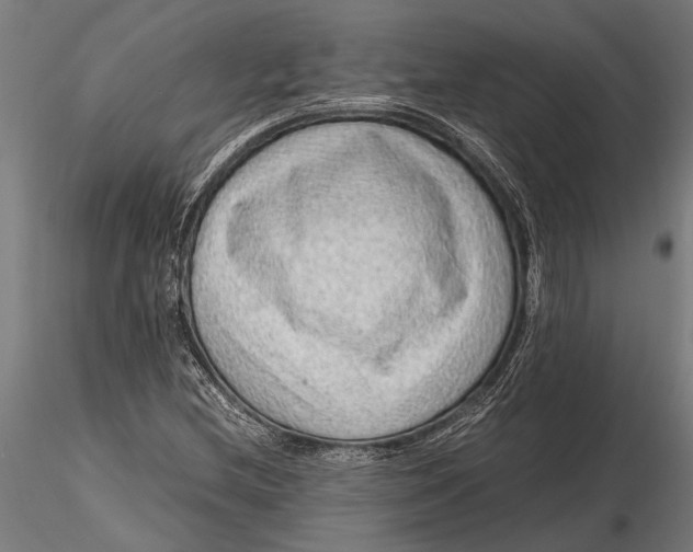 X0000116101212200912140949