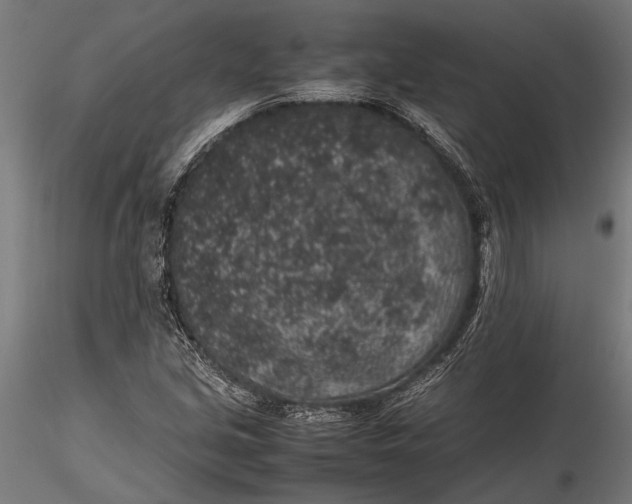 X0000116101213200912140949